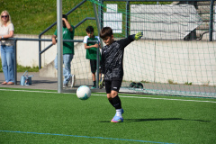 NIK_4251